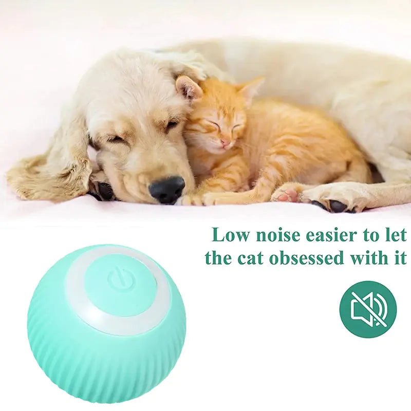 Electric Dog Toys Smart Puppy Ball Toys For Cat Small Dogs Funny Auto Rolling Ball Self - moving Puppy Games Toys Pet Accessories - ThriveAuraOutlet
