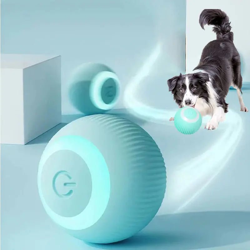 Electric Dog Toys Smart Puppy Ball Toys For Cat Small Dogs Funny Auto Rolling Ball Self - moving Puppy Games Toys Pet Accessories - ThriveAuraOutlet