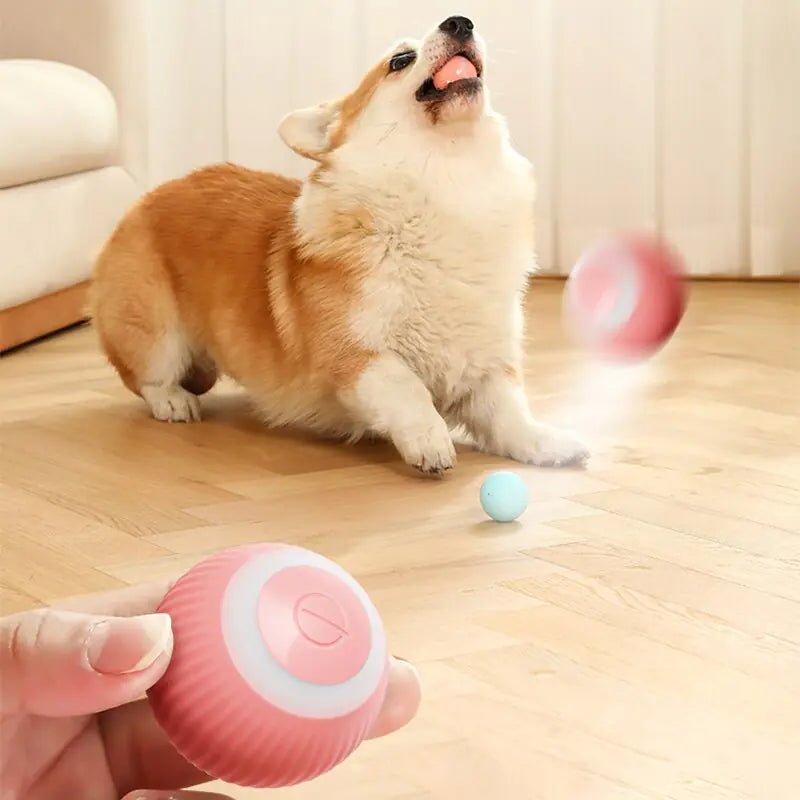 Electric Dog Toys Smart Puppy Ball Toys For Cat Small Dogs Funny Auto Rolling Ball Self - moving Puppy Games Toys Pet Accessories - ThriveAuraOutlet