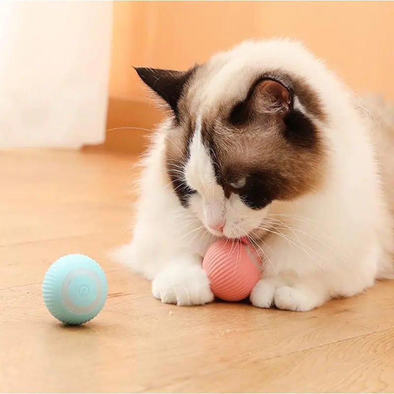 Electric Dog Toys Smart Puppy Ball Toys For Cat Small Dogs Funny Auto Rolling Ball Self - moving Puppy Games Toys Pet Accessories - ThriveAuraOutlet